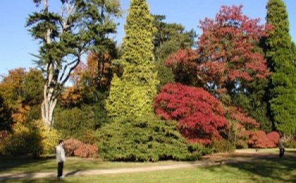 Arboretum